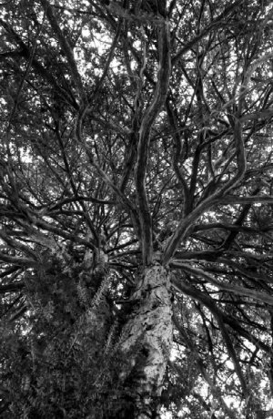 Photo : Danielle Fournier